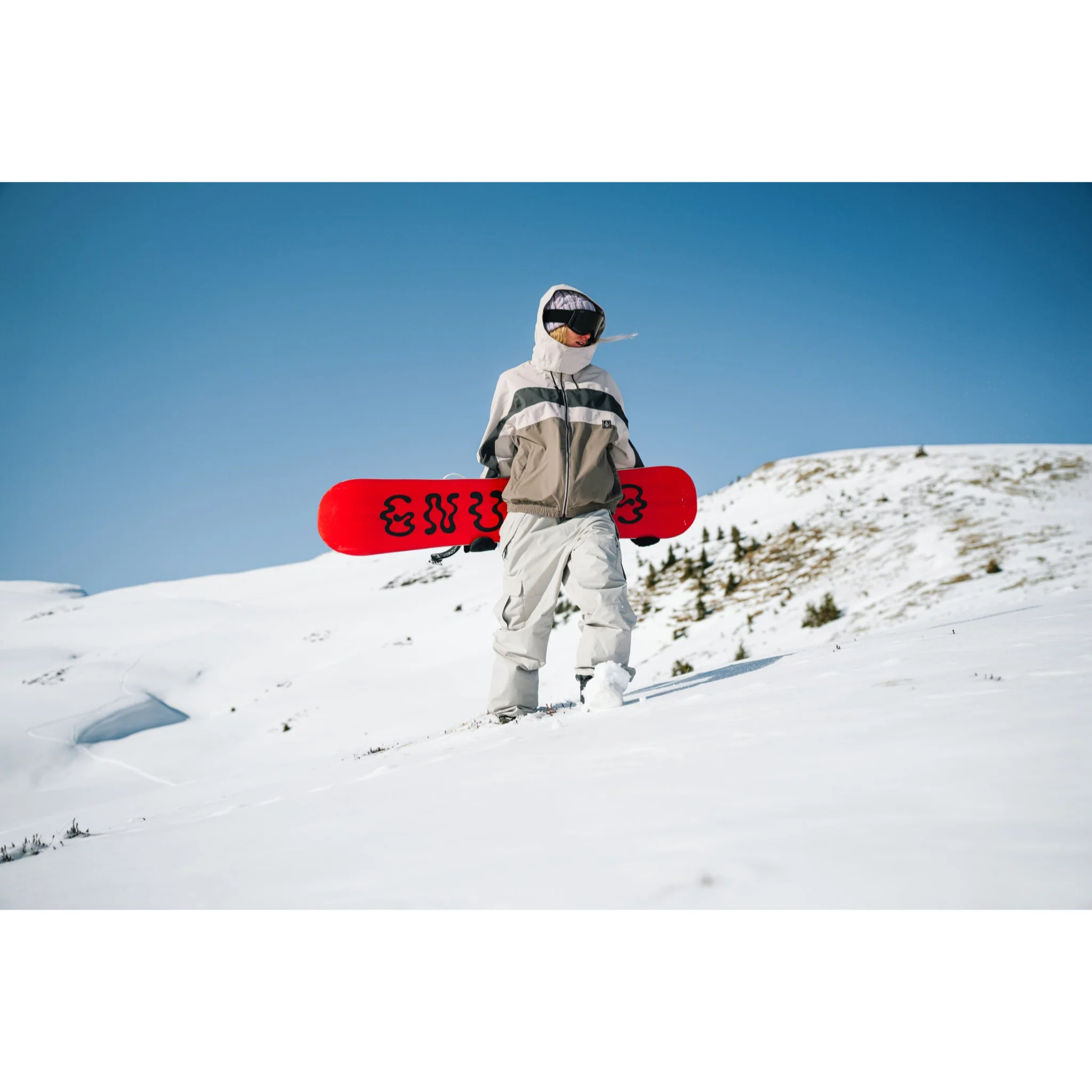Volcom DLM Shell Jacket 2026 - Image 7